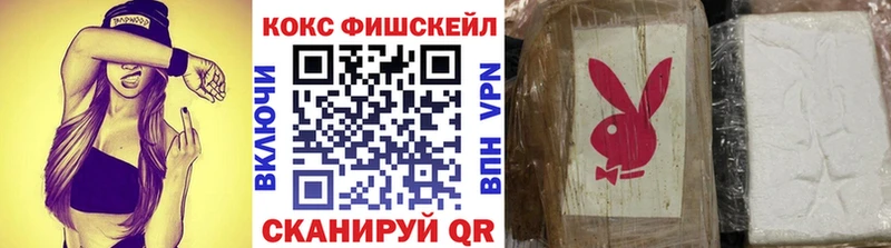 COCAIN 99%  купить  цена  Грязи 