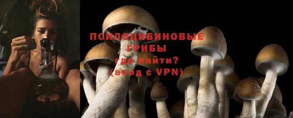 прущие крисы Абдулино