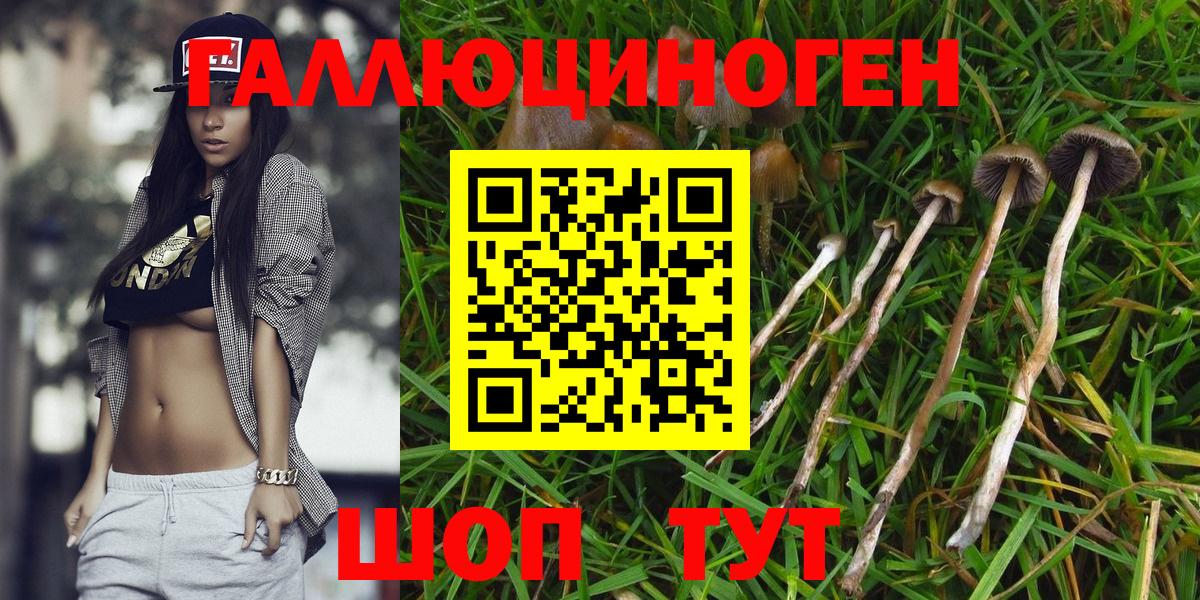 Псилоцибиновые грибы ЛСД Грязи